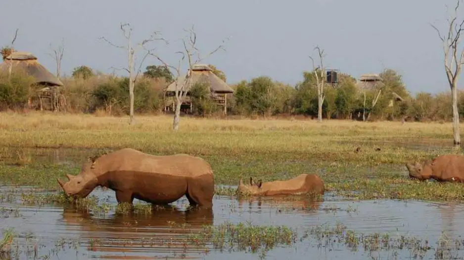 matusadona national park zimbabwe