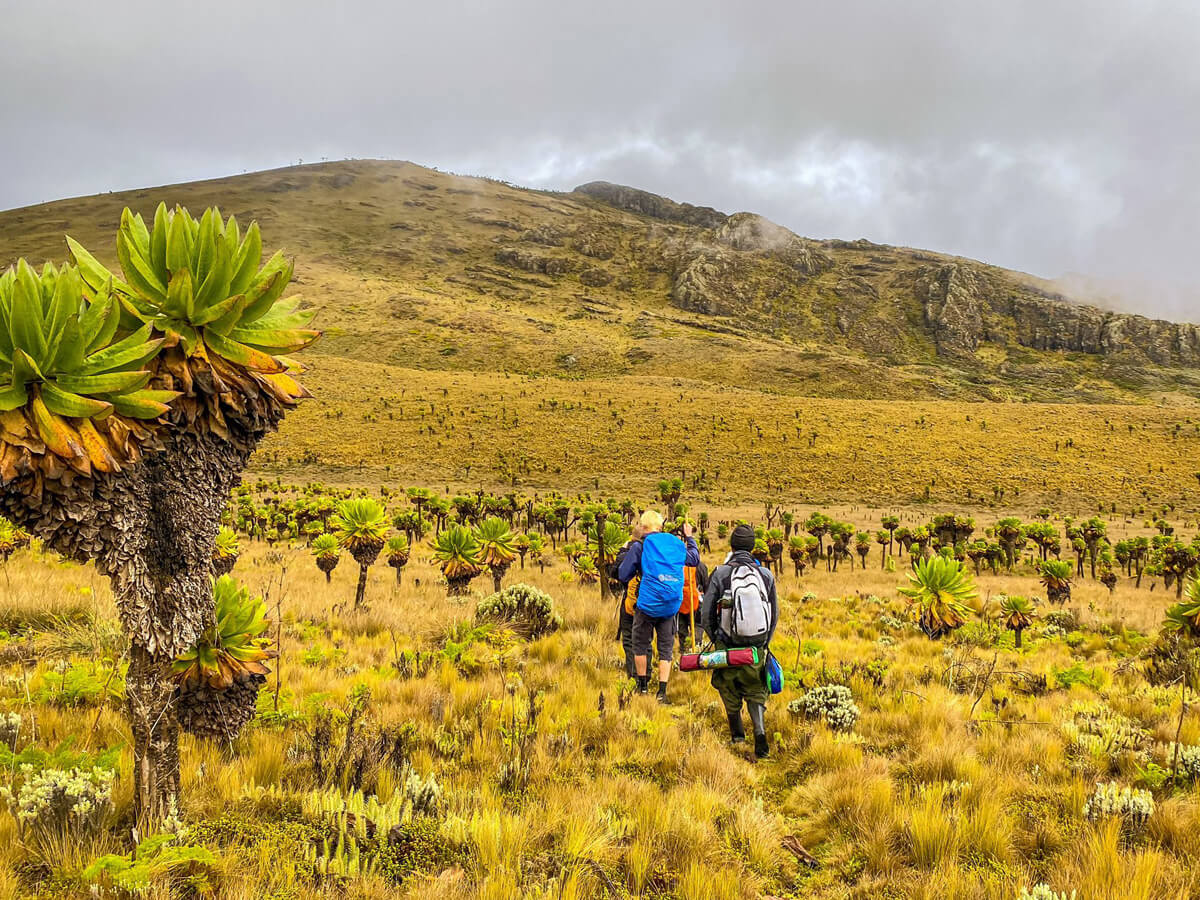 hiking in mt elgon