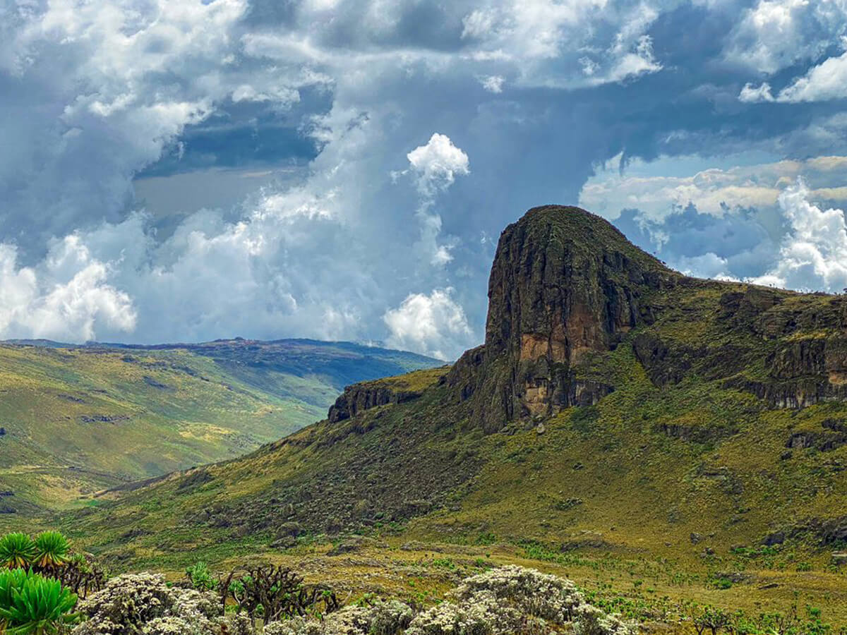 Elgon rock face