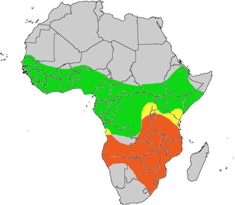 African python natural habitat range
