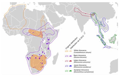 rhino habitat range map